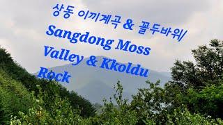 상동 이끼계곡 & 꼴두바위/Sangdong Moss Valley & KKoldu Rock