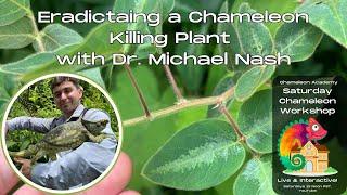 Eradicating a Chameleon Killing Plant in Madagascar with Dr. Michael Nash