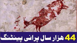 Animal painting found in cave is 44,000 years old- Mohsan TV