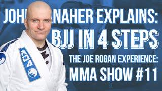 John Danaher Explains The 4-Step System of Brazilian Jiu Jitsu (BJJ)