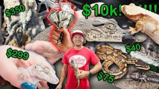 Finding the Cheapest & Most Expensive Reptiles at the Pacific Northwest Reptile Show!