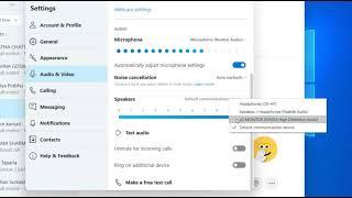 How to fix Skype Audio problem