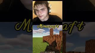 The choice is obvious #minecraft  #shorts  #megamod