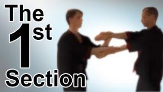 Wing Tsun 1st Chi Sau Section