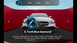 TONFI GLOBAL PROMOTION