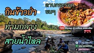 กินข้าวป่าลาบกะฮอกขมๆ//ກິນເຂົ້າປ່າລາບກະຮອກຂົມໆ Hieng บ่าวเฮืยง คนหากิน