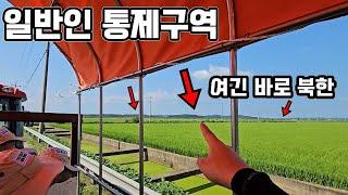 북한이 바로 코앞! 일반인 통제구역에서 채집을 했는데...!?!