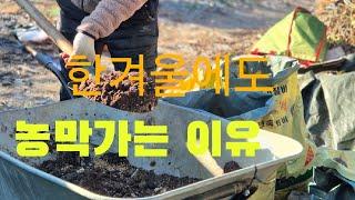 한겨울에도 농막가는 이유#고니팜#241208