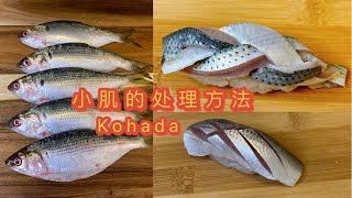 小肌(Kohada)的处理很考验寿司师傅的经验！how to prepare Kohada for sushi? #寿司 #sashimi #刺身 #小肌#kohada
