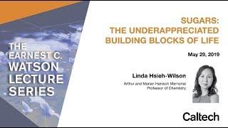 Sugars: The Underappreciated Building Blocks of Life - L. Hsieh-Wilson - 5/29/2019