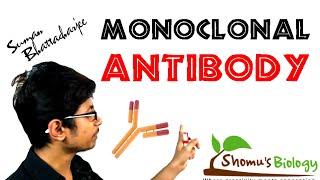 Monoclonal antibody | monoclonal antibody production using hybridoma technology