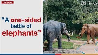 "A one-sided battle of elephants" | The Nation Thailand