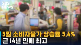 5월 소비자물가 상승률 5.4%, 근 14년 만에 최고 / SBS