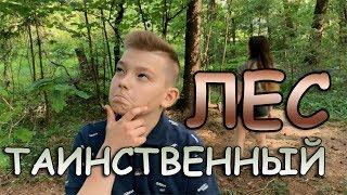 Таинственный лес | Где родился PewDiePie | Вероника отжимается 1500 раз!