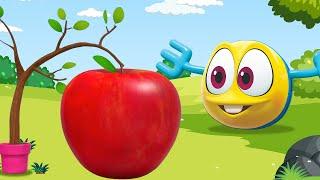 Apple Adventure - Play Colors With Wonderballs | Learn Colors with Fruits | Kids Shows Club