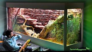 I GOT A MASSIVE ENCLOSURE FOR MY BEARDED DRAGON | TERRAQUAMAN