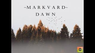 Markvard - Dawn   /RFM - Library {No Copyright}/  Best Royalty Free Music 2020