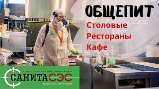 Обработка общепита: Столовые-Кафе-Рестораны