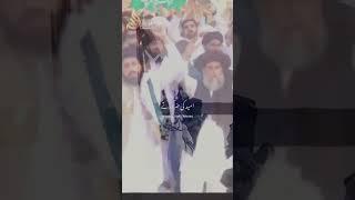 Stetus TLP Saad Hussain Rizvi#shorts#ytshorts#islamicvilogs