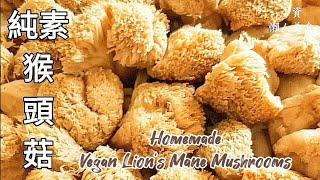 純素如何處理乾猴頭菇 Vegan Lion's Mane Mushrooms ビーガン山伏茸の作り方