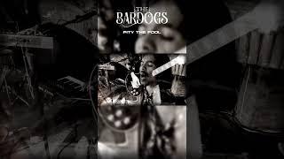 The Bardogs - Pity The Fool #bali #music #band #song #thebardogs #indonesia