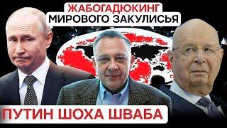 Путин работает на Шваба !? Степан Демура про Жабогадюкинг мирового закулисья (07.10.2024)