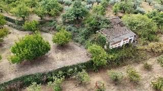 Finca de recreo con cerezos y castaños | AgroAnuncios.es