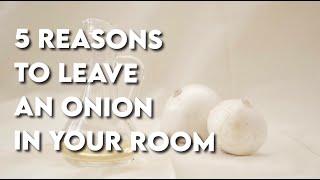 5 Reasons to Leave an Onion in you Room!