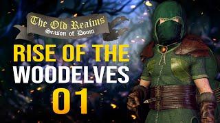 RISE OF THE WOOD ELVES! The Old Realms Warhammer Mod - Mount & Blade II: Bannerlord - Wood Elf #1