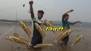 10 मिनिटात केला निवटीच काम. नीवटी मासेमारी. mud skipper fishing. mumbai indian fishing