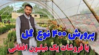 گلخانه و گلفروشی که  امسال یک ملیون افغانی فروشات کرده #پروان  #دهکده (بخش اول)