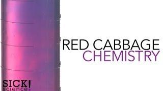 Red Cabbage Chemistry - Sick Science! #105