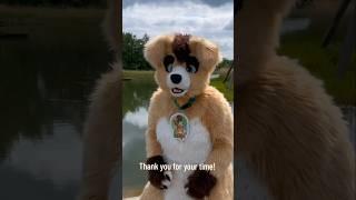 Happy Tail Wags #furry #furries #fursuiting #fursuit #fursuiters #positivevibes #costume #cute