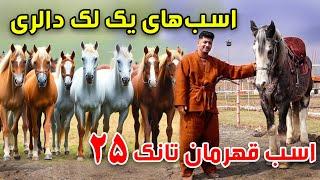 سوژه - اسب ۱۰۰٬۰۰۰ دالری، قهرمانان تانک ۲۵