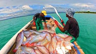 RED SNAPPER FISHING IN SHALLOW WATERS