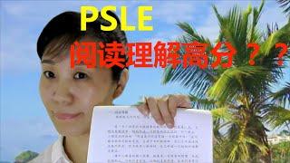 怎样做好阅读理解？#psle #网课 #老师 #小六会考