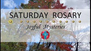 Saturday Rosary • Joyful Mysteries of the Rosary  November 23, 2024 VIRTUAL ROSARY - MEDITATION