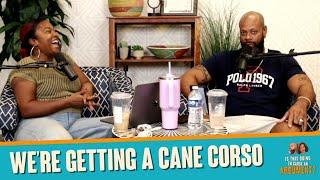 We’re Getting A Cane Corso | ITGTCAA | That Chick Angel TV