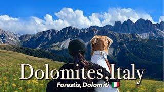  My DOG hikes world heritage DOLOMITES Italian ALPS l Luxury Forestis Dolomiti l Explore Milan