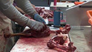 Busy season for Montana meat processing businesses