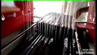 Nursery Automatic Full Seeding Line Machine - Seed Sowing Machine