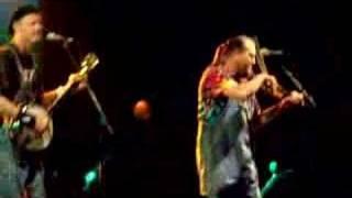 Hayseed Dixie - Holiday (Live at Loopallu 2005)