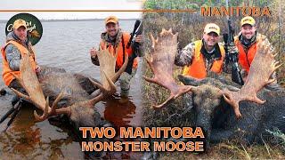 Northern Manitoba GIANT Rutting Moose | Canada in the Rough