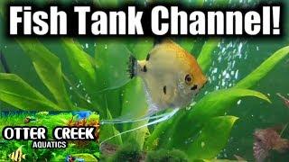 Welcome To Otter Creek Aquatics! | Pilot Video | Fish Tank Channel