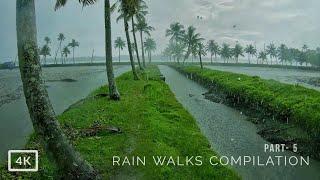 3 hours of walking in rain in the greenish landscapes of South India | Relaxing rain sounds ASMR