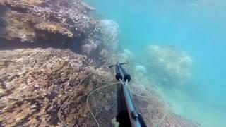 Pti test go pro a la plage du mt dore mdr