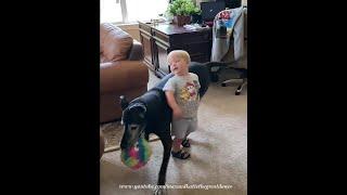 Happy Toddler Bounces Off Great Dane & Shares Ice With Grandpa & Dog - Sharing Is Caring