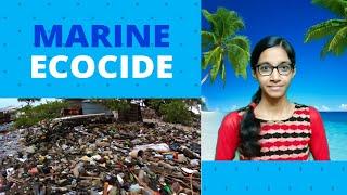 Marine Ecocide - Silent Death of Oceans - [subtitles included] - Short Documentary