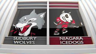 Game 22 Highlights: Sudbury Wolves at Niagara IceDogs