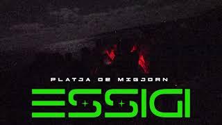 ESSIGI presents PLATJA DE MIGJORN, FORMENTERA 2023, 1 HOUR SESSION